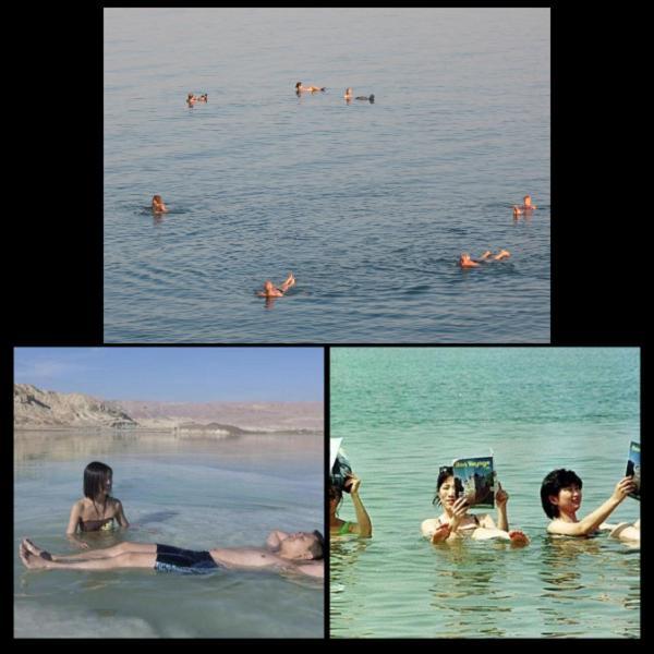 Villa Nadia Hosting Dead Sea à Neve Zohar Extérieur photo
