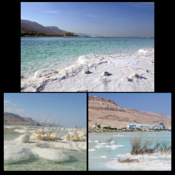Villa Nadia Hosting Dead Sea à Neve Zohar Extérieur photo
