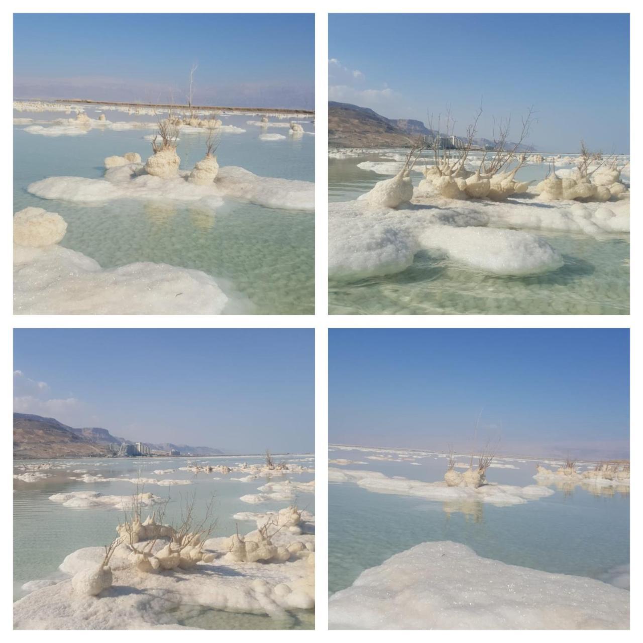 Villa Nadia Hosting Dead Sea à Neve Zohar Extérieur photo